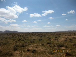 Ein grüner Blick wo einst nur Wüste war gibt uns Kraft für die Zukunft