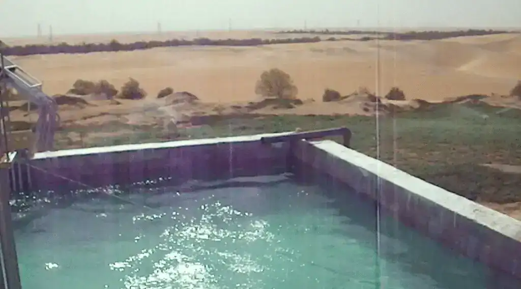 Wasserquelle in der Wüste zur Begrünung und Wasserversorgung.