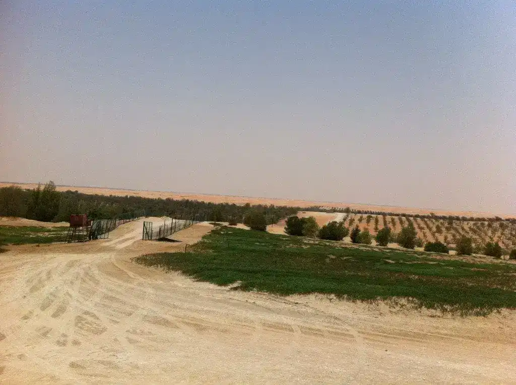 Dünenlandschaft mit Bewässerungssystem, nachhaltige Desert Greening-Projekte in der Wüste.