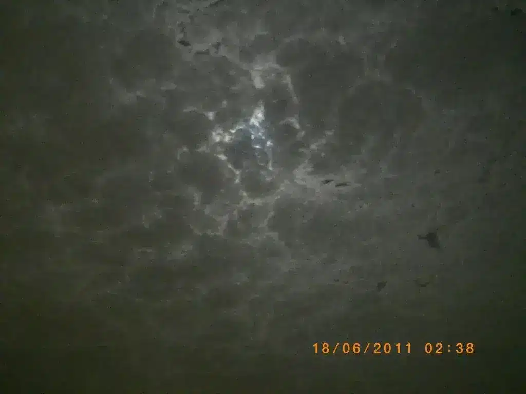 Alttext: Wüstenbegrünung durch nachhaltige Wasser- und Pflanzenlösungen.