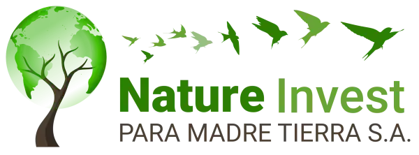 Wüstenbegrünung zur Bekämpfung von Desertifikation und Förderung nachhaltiger Landbewirtschaftung.