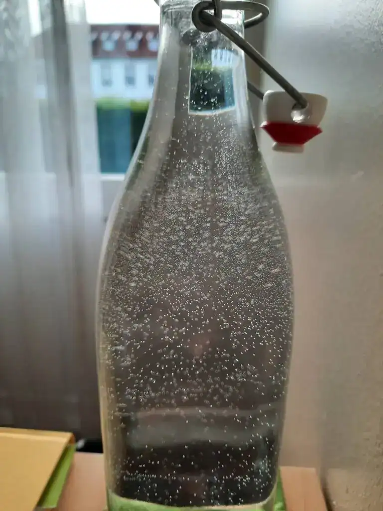 Wassersprudler mit Kohlensäure für frisch sprudelndes Wasser, ideales Haushaltsgerät für Erfrischung.
